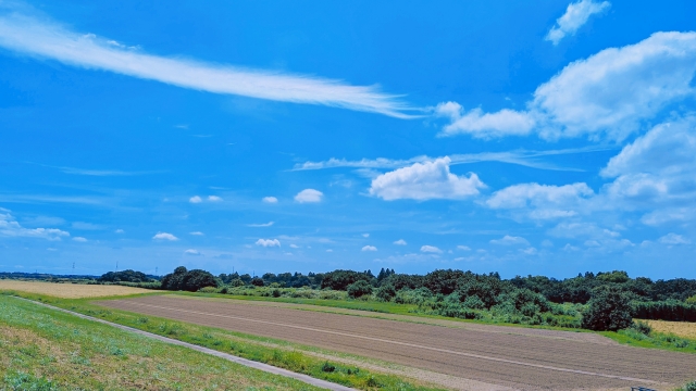 河川敷