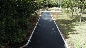 （仮称）小柴貯油施設跡地公園（第１期エリア）基盤整備工事（その２）